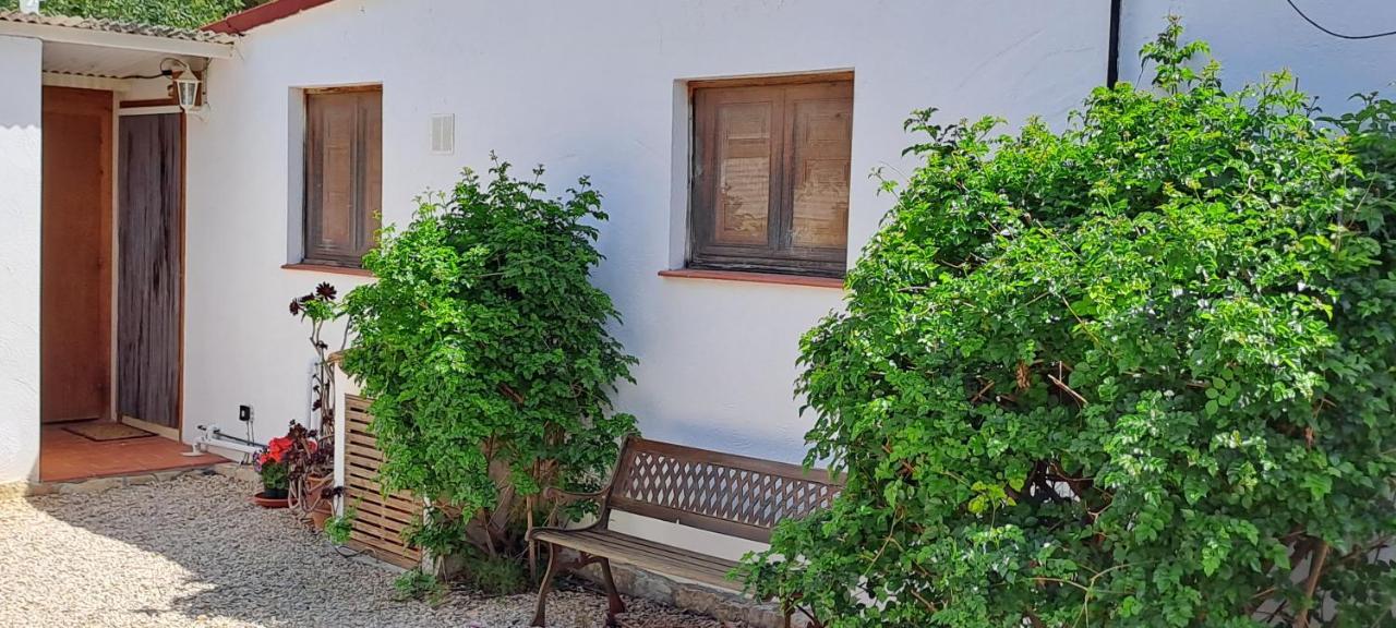 Finca Gamundi L'Ampolla Exterior foto